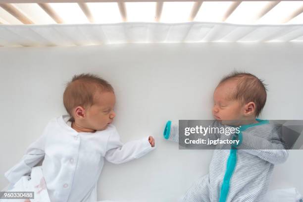 broederlijke pasgeboren tweeling - twin babies stockfoto's en -beelden