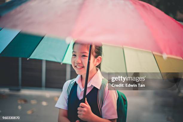 asian chinese family child coming back from school to home carrying multi-colored umbrella in rain - malaysia school stock pictures, royalty-free photos & images