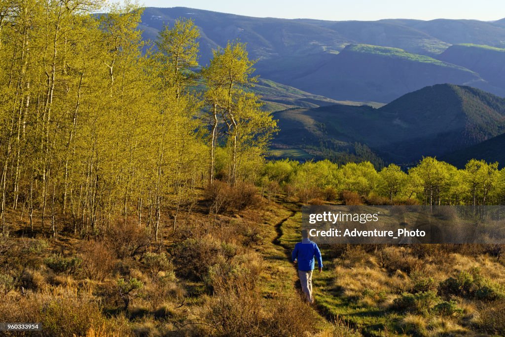 Hiking Trail Path and Scenic Mountain View with Hiker