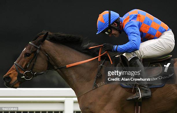 Twist Magic and Ruby Walsh are clear on the run-in to win The Victor Chandler Steeple Chase run at Ascot racecourse on January 23, 2010 in Ascot,...