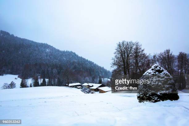 winter landscape berchtesgadener land (upper bavaria, germany) - upper house park fotografías e imágenes de stock