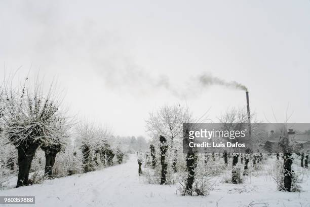 snow covered landscape with factory chimney - osh photos et images de collection
