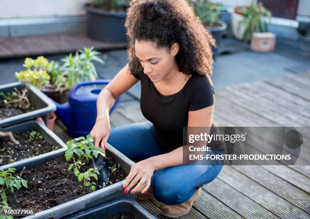 young woman is gardening on her urban rooftop - urban gardening stock-fotos und bilder