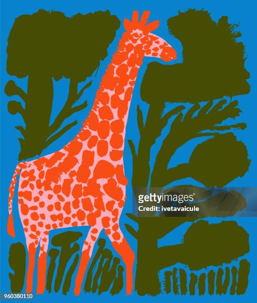 giraffe between bushes and trees - night safari stock illustrations
