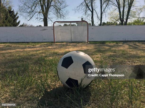 soccer ball and youth size soccer nets - cappi thompson 個照片及圖片檔