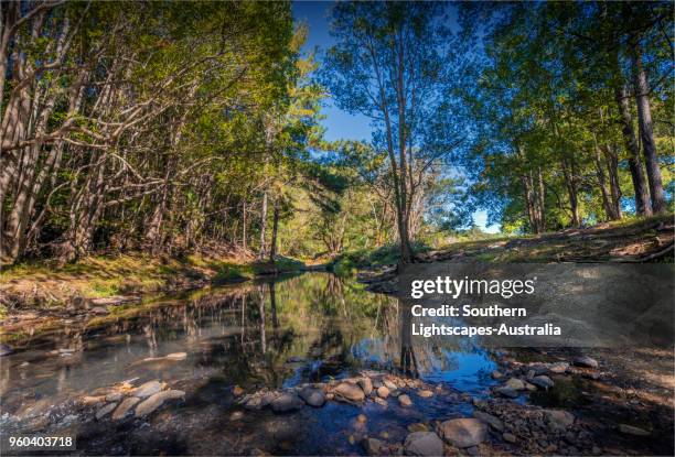 currumbin valley creek rock-pools, gold coast, queensland, australia. - temperate climate stock pictures, royalty-free photos & images