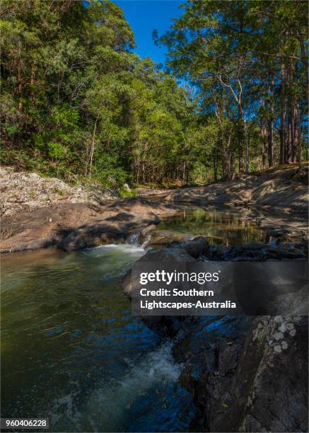 currumbin valley creek rock-pools, gold coast, queensland, australia. - temperate climate stock pictures, royalty-free photos & images