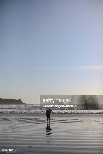 cox bay in tofino, british columbia - angela auclair stock pictures, royalty-free photos & images