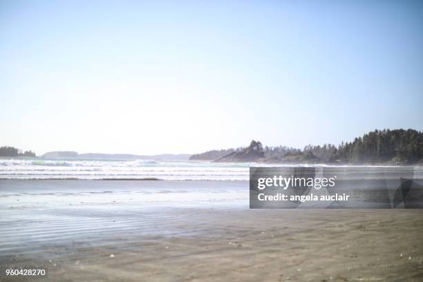 cox bay in tofino, british columbia - angela auclair fotografías e imágenes de stock