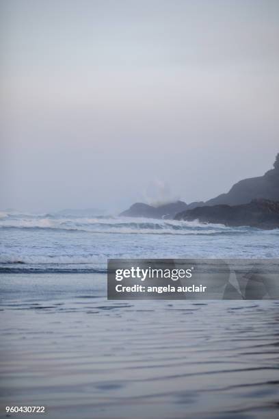 cox bay in tofino, british columbia - angela auclair stock pictures, royalty-free photos & images