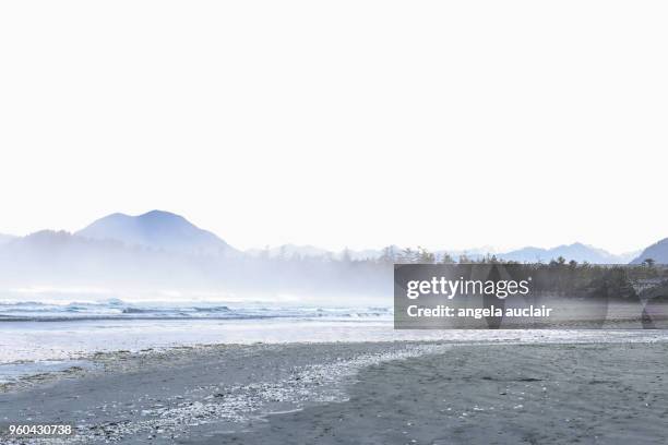 cox bay in tofino, british columbia - long beach britisch kolumbien stock-fotos und bilder