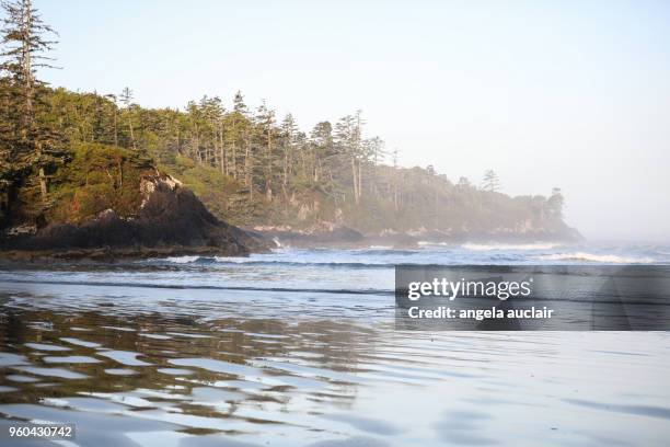 cox bay in tofino, british columbia - long beach britisch kolumbien stock-fotos und bilder