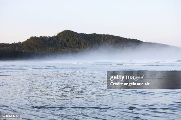 cox bay in tofino, british columbia - angela auclair bildbanksfoton och bilder