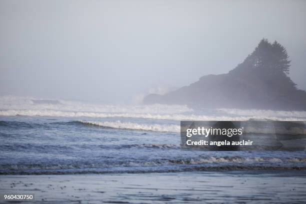 cox bay in tofino, british columbia - long beach britisch kolumbien stock-fotos und bilder