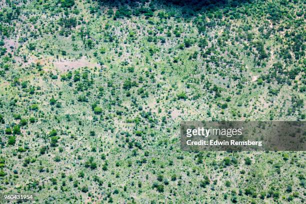 zim aerial - edwin remsberg stock pictures, royalty-free photos & images
