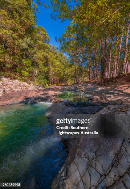 currumbin valley creek rock-pools, gold coast, queensland, australia. - temperate climate stock pictures, royalty-free photos & images