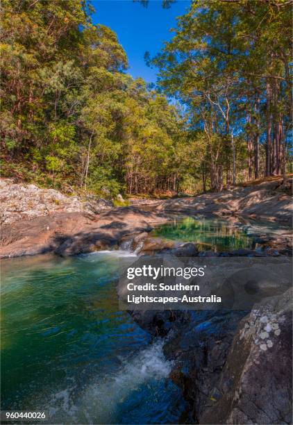 currumbin valley creek rock-pools, gold coast, queensland, australia. - temperate climate stock pictures, royalty-free photos & images