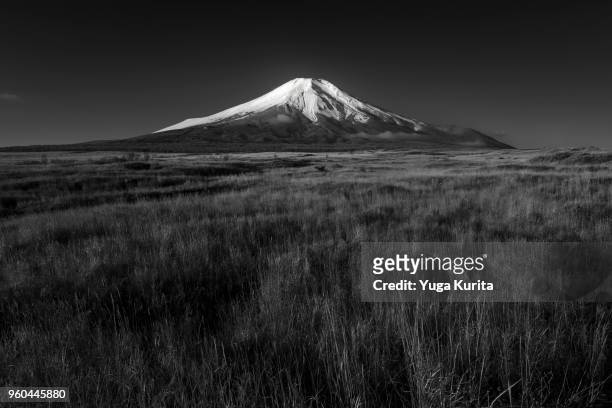 mt. fuji over a field of japanese silver grass - yamanakako photos et images de collection