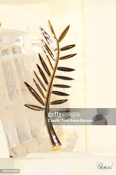 Director Hirokazu Koreeda poses with the Palme d'Or award for 'Shoplifters' at the photocall the Palme D'Or Winner during the 71st annual Cannes Film...