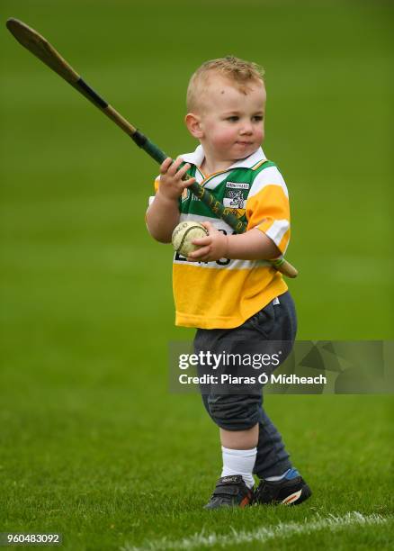 Kilkenny , Ireland - 20 May 2018; Offaly supporter Kyle Broderick, age 2, from Bracknagh plays on the pitch at half-time during the Leinster GAA...