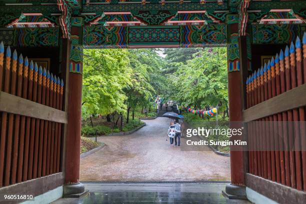 a rainy scenery viewed from the gate of buddhist temple - sungjin kim stock pictures, royalty-free photos & images