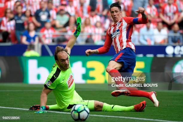 Eibar's Serbian goalkeeper Marko Dmitrovic blocks a shot on goal by Atletico Madrid's Spanish forward Fernando Torres during the Spanish league...