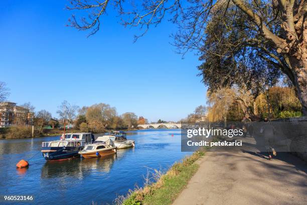 path along the thames river at kingston upon thames - thames path stock pictures, royalty-free photos & images