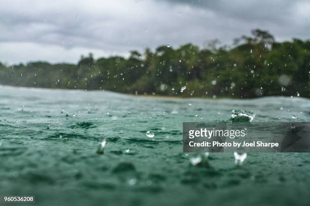 rain in the caribbean sea - droplet sea summer stockfoto's en -beelden