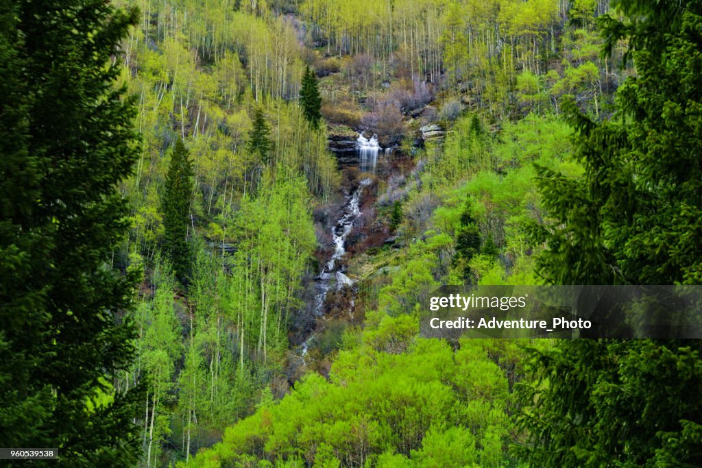 Mountain Waterfall in Spring Cascading Creek