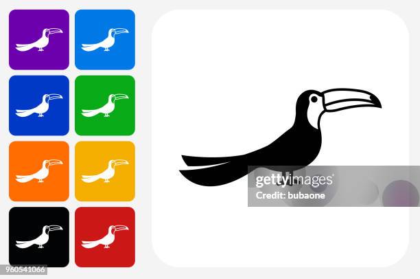 toucan bird icon square button set - toucan stock illustrations