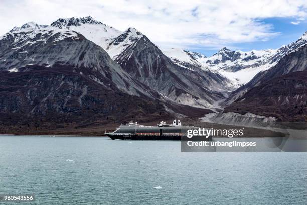 holland america line's nieuw amsterdam cruise ship in glacier bay np - nieuw stock pictures, royalty-free photos & images