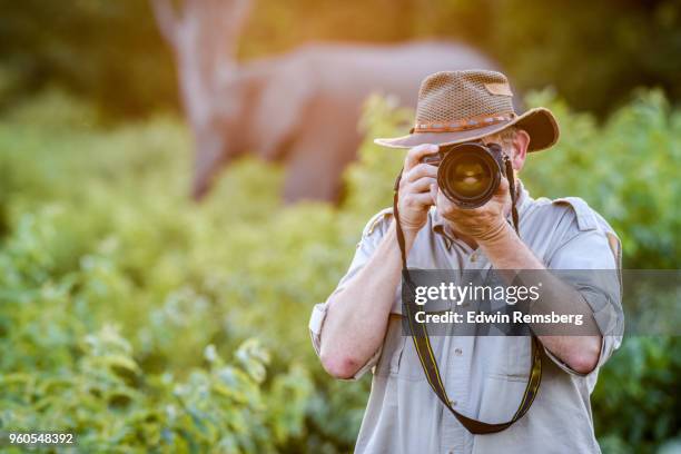 photo safari - edwin remsberg stock pictures, royalty-free photos & images