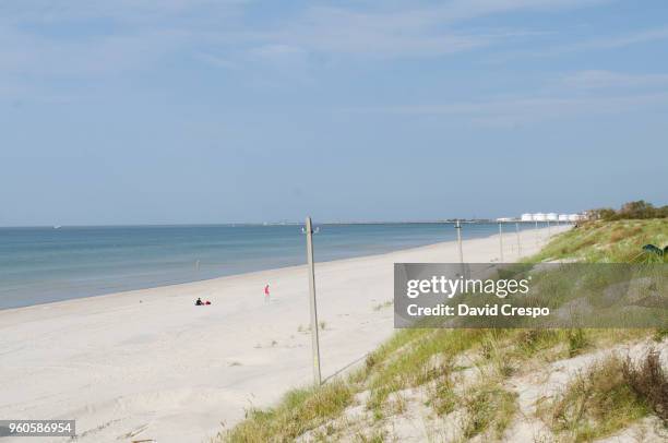 dunes in klaipeda - lithuanian stock pictures, royalty-free photos & images