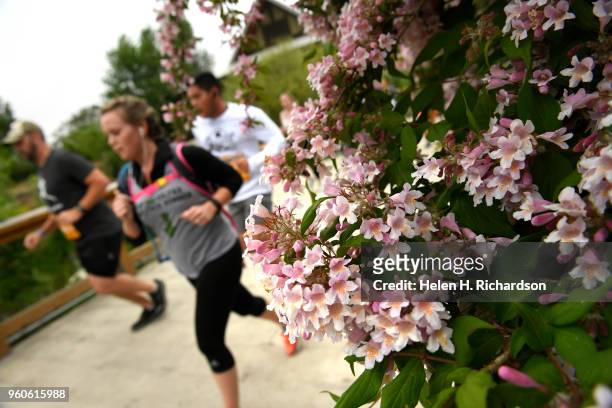Runners run past blooming flowers in Denver Zoo during the Colfax Half Marathon in City Park on May 20, 2018 in Denver, Colorado. Now in its 13th...