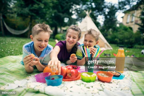 kinderen plezier op picknick in de tuin - picknick stockfoto's en -beelden