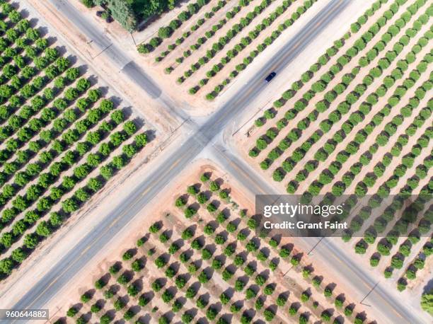 traffic intersection in agriculture region - crossing imagens e fotografias de stock