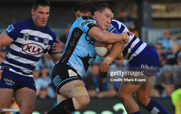 Paul Gallen of the Sharks is tackled during the round 11 NRL match between the Cronulla Sharks and the Canterbury Bulldogs at Southern Cross Group...