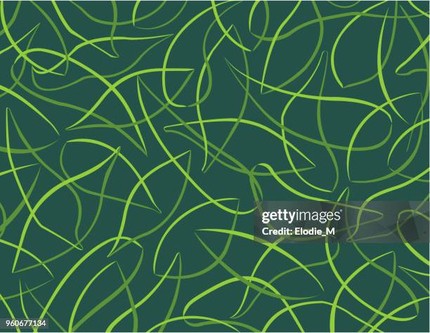 tropische muster / patron de feuilles - blattmuster stock-grafiken, -clipart, -cartoons und -symbole