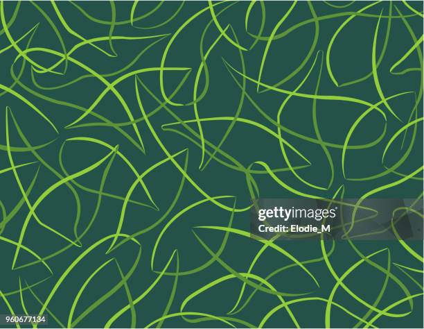 tropische muster / patron de feuilles - foliate pattern stock-grafiken, -clipart, -cartoons und -symbole