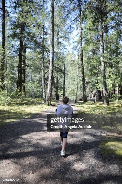 father and son walk through cathedral grove - angela auclair stock pictures, royalty-free photos & images