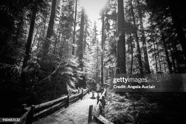 father and son walk through cathedral grove - angela auclair stock pictures, royalty-free photos & images