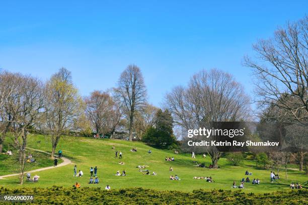 spring sunny day in high park - large group in park imagens e fotografias de stock