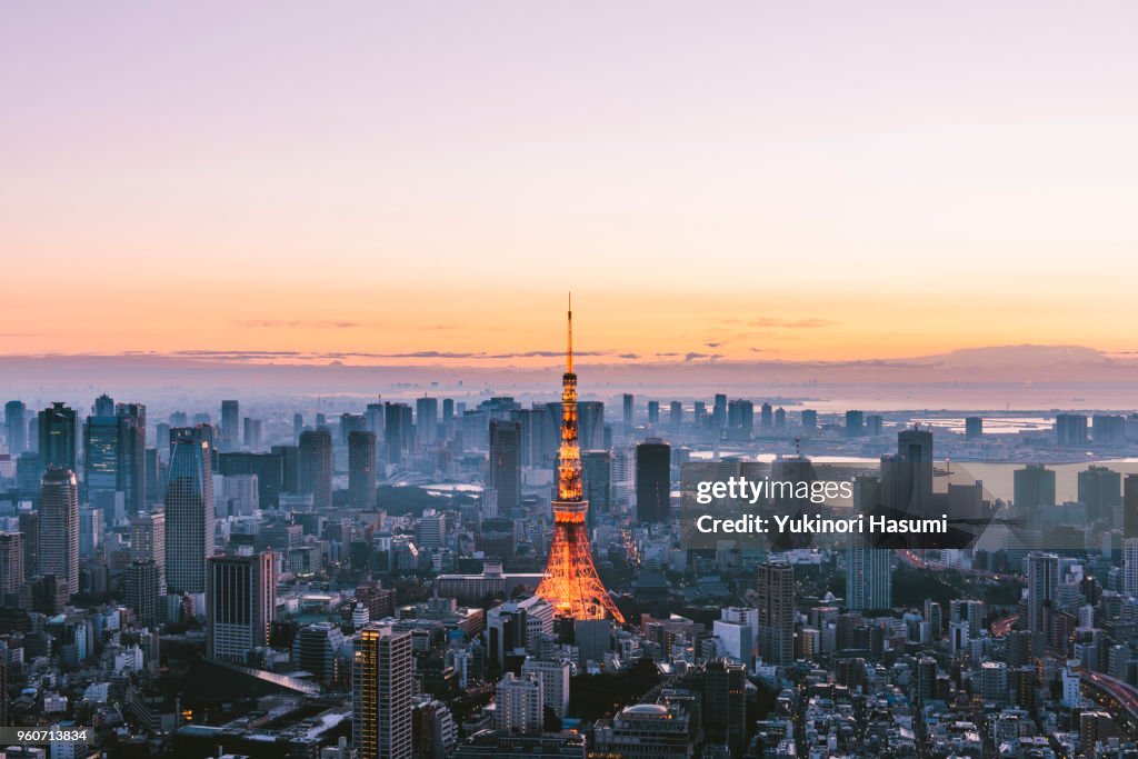 Tokyo skyline at early morning