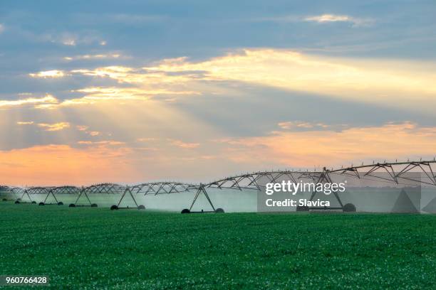 irrigatiesysteem drenken van landbouwgronden - irrigation equipment stockfoto's en -beelden