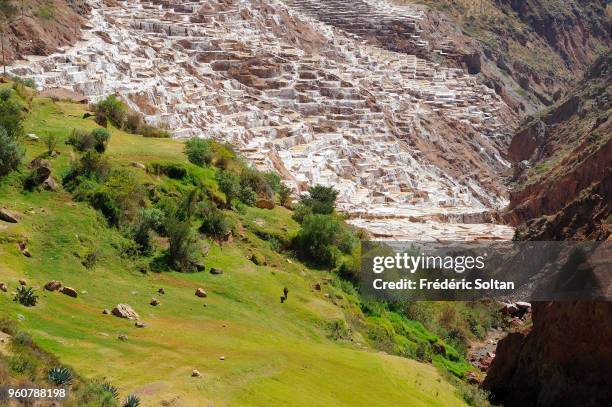 Salineras de Maras in Peru's Sacred Valley. The salt pans of the town of Maras, found in the Sacred Valley of the Incas, at an altitude of 3,500...