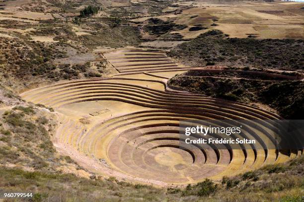 Incan terraces of Moray. The Incan agricultural terraces at Moray, near the old city of Cuzco, at an altitude of 3,500 metres, in Peru's Andes on...