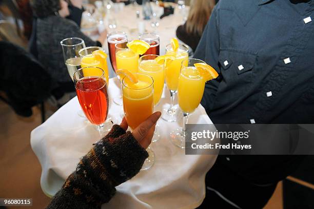 General view of atmosphere at the Director's Brunch during the 2010 Sundance Film Festival a Sundance Resort on January 23, 2010 in Park City, Utah.