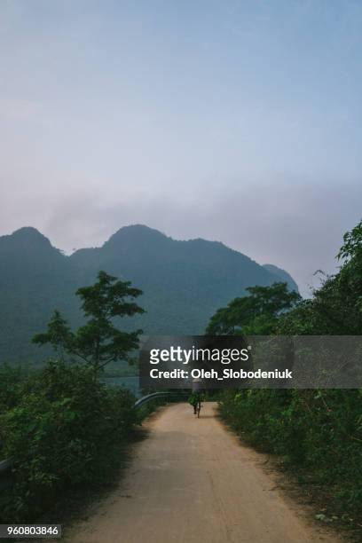 road in the  jungles at sunset - phong nha kẻ bàng national park stock pictures, royalty-free photos & images