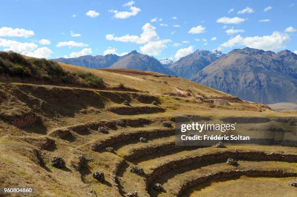 Incan terraces of Moray. The Incan agricultural terraces at Moray, near the old city of Cuzco, at an altitude of 3,500 metres, in Peru's Andes on...