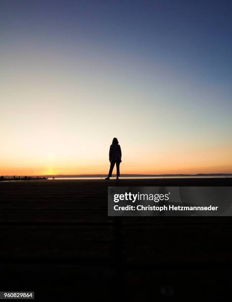 watching sunset light - back lit stock pictures, royalty-free photos & images